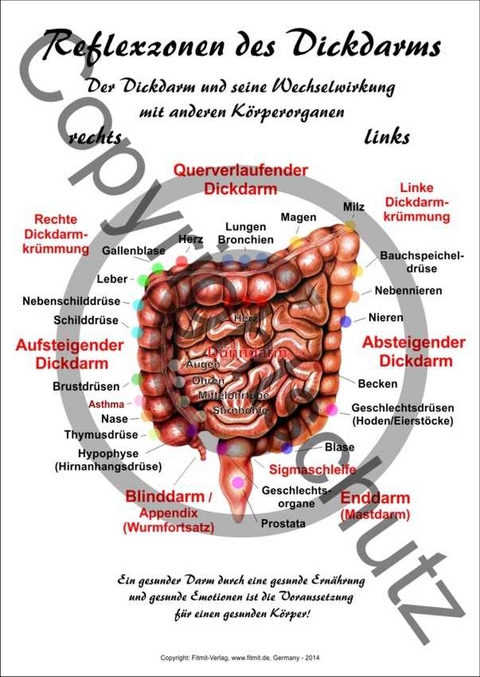 Reflexzonen des Dickdarms - Tanja Aeckersberg