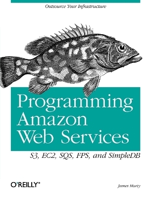 Programming Amazon Web Services - James Murty