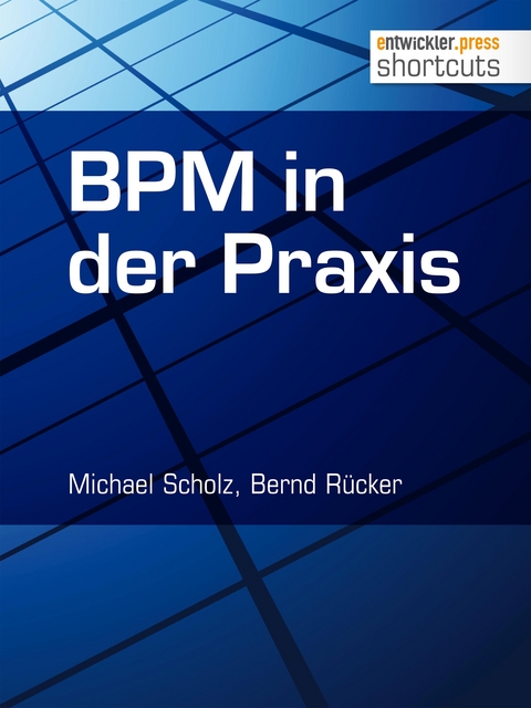 BPM in der Praxis - Michael Scholz, Bernd Rücker