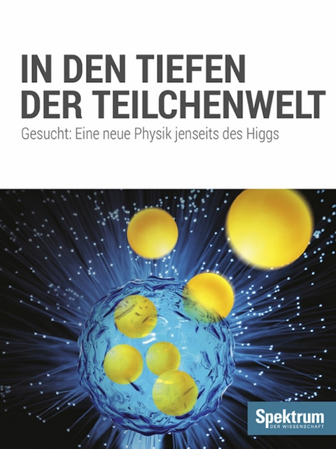 In den Tiefen der Teilchenwelt - 