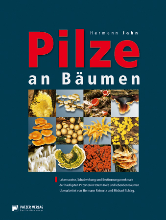 Pilze an B&auml;umen - Hermann Jahn
