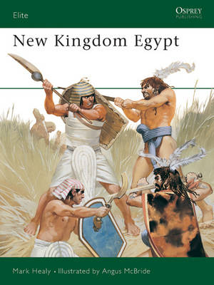 New Kingdom Egypt -  Mark Healy
