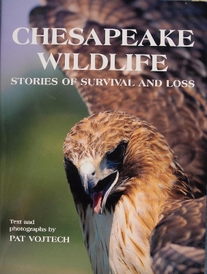 Chesapeake Wildlife - Pat Vojtech
