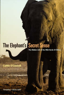 The Elephant`s Secret Sense &ndash; The Hidden Life of the Wild Herds of Africa - Caitlin O`connell