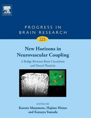 New Horizons in Neurovascular Coupling: A Bridge Between Brain Circulation and Neural Plasticity - 