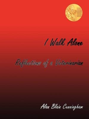 I Walk Alone - Alan Blain Cunningham