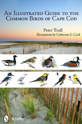 An Illustrated Guide to the Common Birds of Cape Cod - Peter Trull