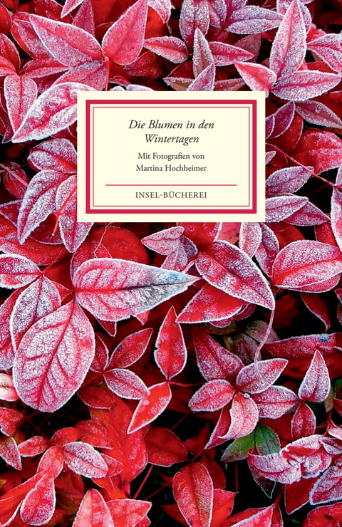 Die Blumen in den Wintertagen - 