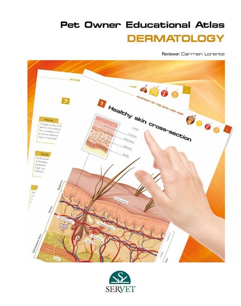 Pet Owner Educational Atlas. Dermatology - Carmen Lorente