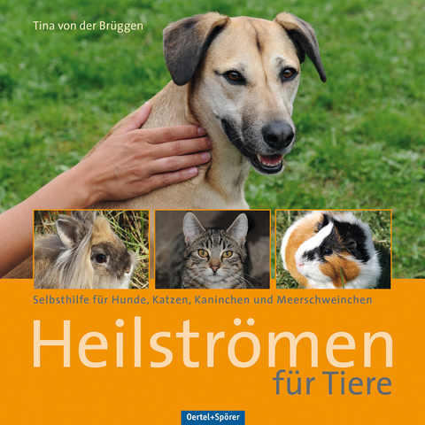 Heilstr&ouml;men f&uuml;r Tiere - Tina von der Br&uuml;ggen