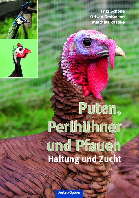 Puten, Perlh&uuml;hner und Pfauen - Fritz Sch&ouml;ne, Ortwin Gro&szlig;mann, Matthias Raapke