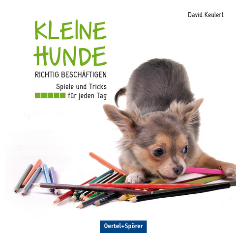 Kleine Hunde richtig besch&auml;ftigen - David Keulert