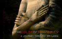 The Color of Serendipity - Nishantha Gunawardena