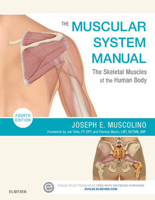 Muscular System Manual