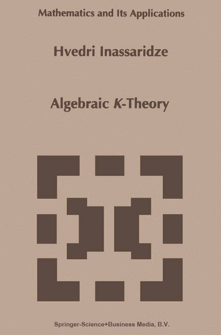 Algebraic K-Theory