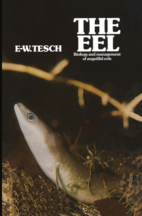 The Eel - F. Tesch