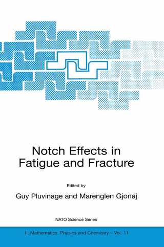 Notch Effects in Fatigue and Fracture