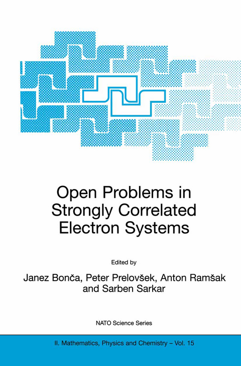 Open Problems in Strongly Correlated Electron Systems - 