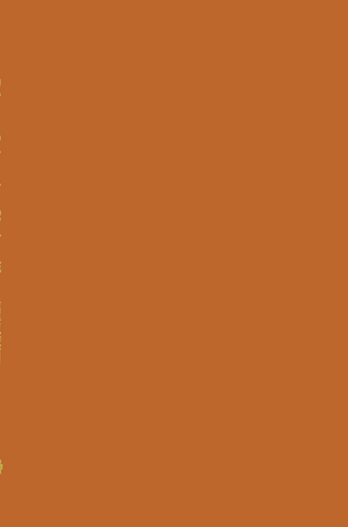 Primary Sclerosing Cholangitis