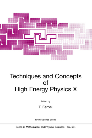 Techniques and Concepts of High Energy Physics X