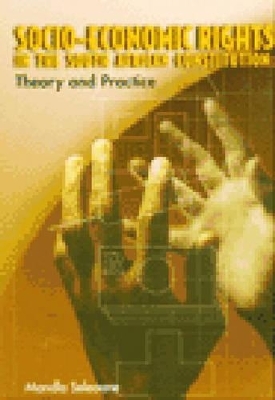 Socio-economic Rights in the South African Constitution