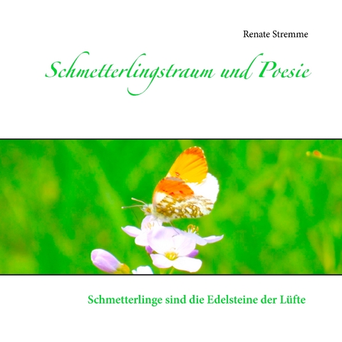 Schmetterlingstraum und Poesie - Renate Stremme