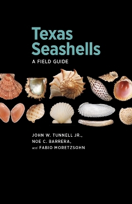 Texas Seashells - John W. Tunnell Jr., Now C. Barrera, Fabio Moretzsohn