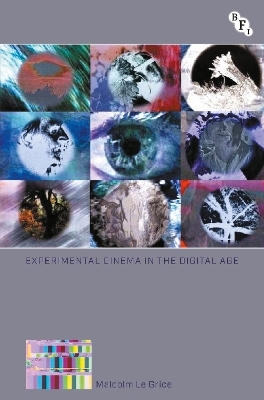 Experimental Cinema in the Digital Age - Malcolm Le Grice