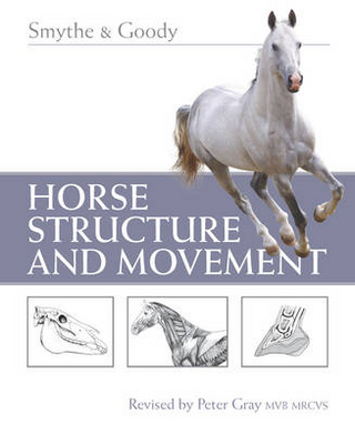 Horse Structure and Movement