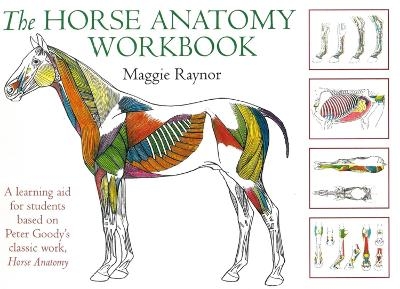 Horse Anatomy Workbook - Maggie Raynor