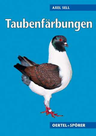 Taubenfärbungen