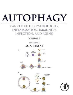 Autophagy: Cancer, Other Pathologies, Inflammation, Immunity, Infection, and Aging