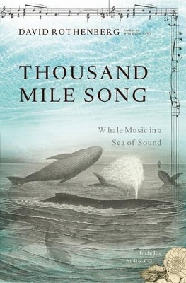 Thousand Mile Song - David Rothenberg
