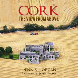 Cork: The View from Above