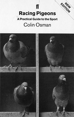 Racing Pigeons - Colin Osman