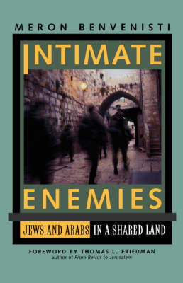 Intimate Enemies - Meron Benvenisti