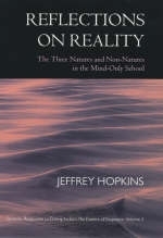 Reflections on Reality