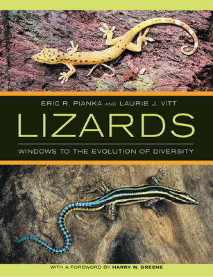 Lizards - Eric P. Pianka, Laurie J. Vitt