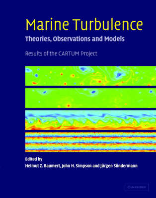 Marine Turbulence