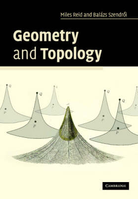 Geometry and Topology - Miles Reid, Balazs Szendroi
