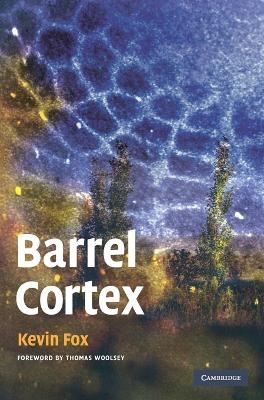 Barrel Cortex - Kevin Fox