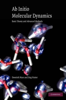 Ab Initio Molecular Dynamics