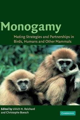 Monogamy - 