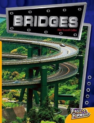 Bridges - Alan Trussell-Cullen