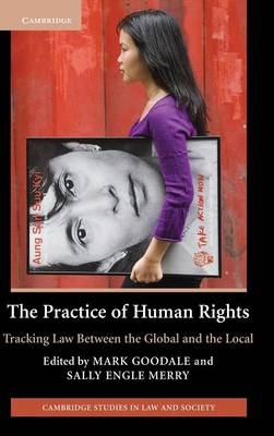 The Practice of Human Rights - 