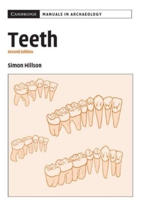 Teeth - Simon Hillson
