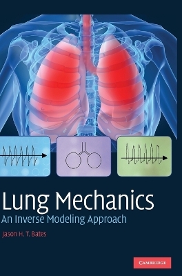 Lung Mechanics