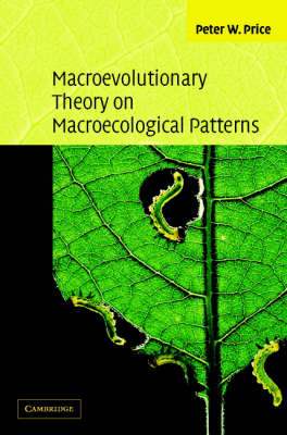 Macroevolutionary Theory on Macroecological Patterns