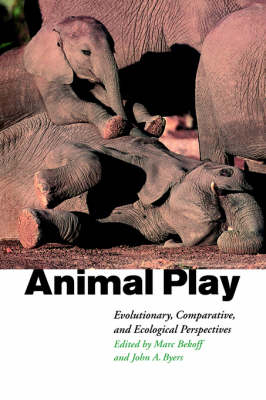 Animal Play