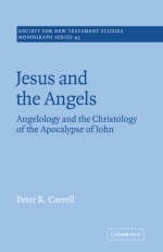 Jesus and the Angels - Peter R. Carrell